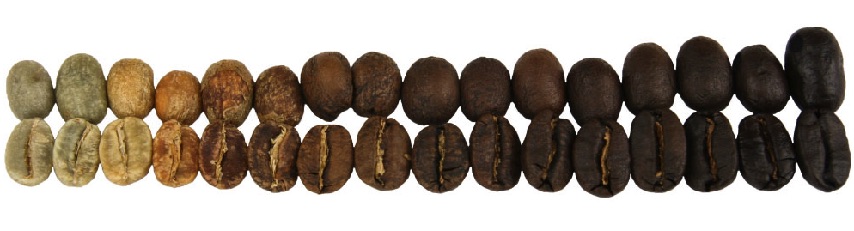 Roasted Coffee